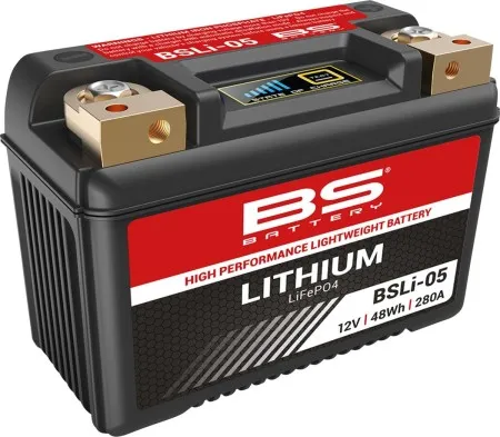 BS Battery Lithium LiFePO4 Battery (360105)